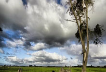 湖人队最新赛程安排和球队动态如何？